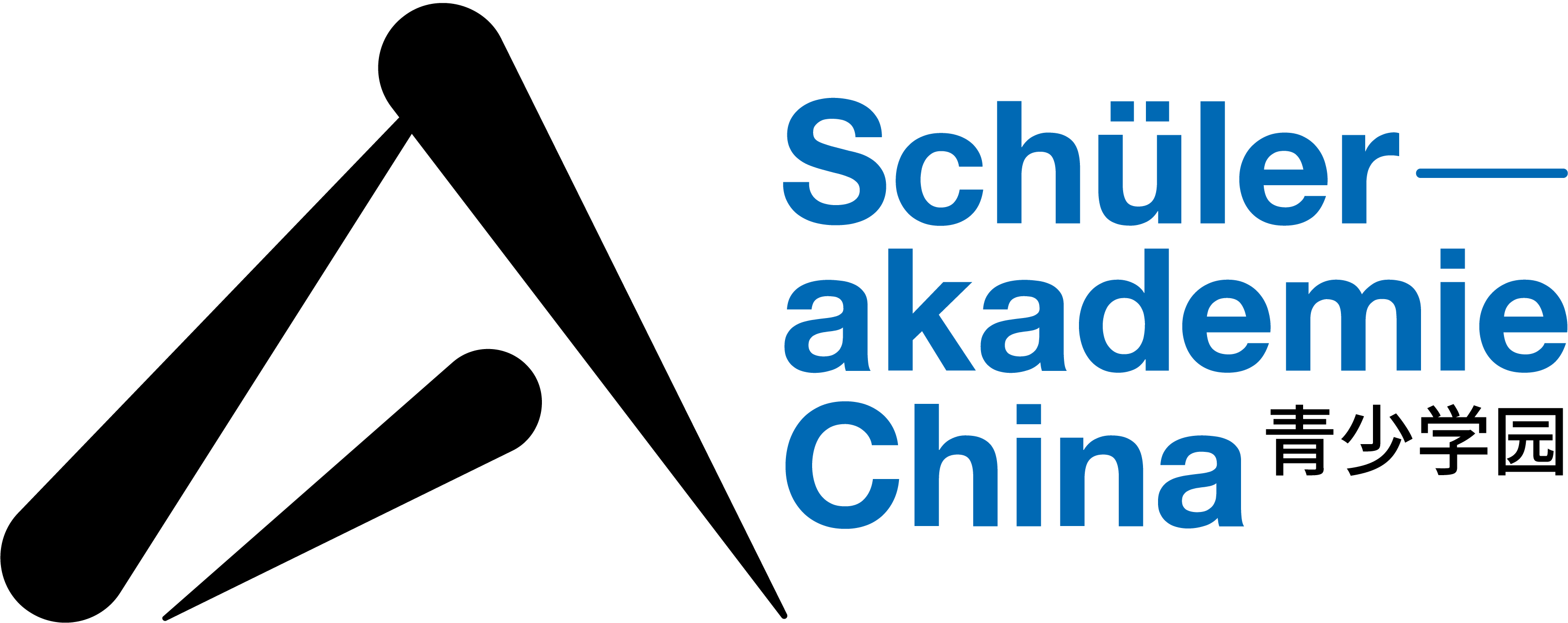 Logo Deutsch-Französisches Jugendcamp China